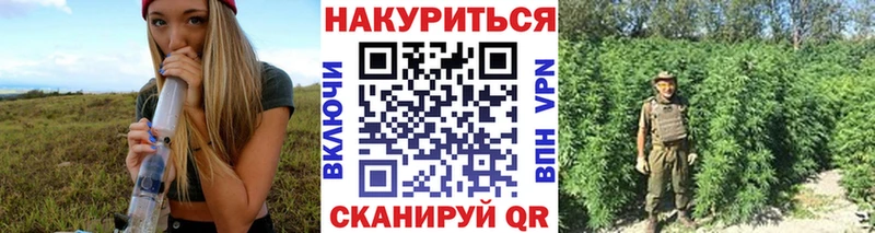 Шишки марихуана планчик Старая Русса